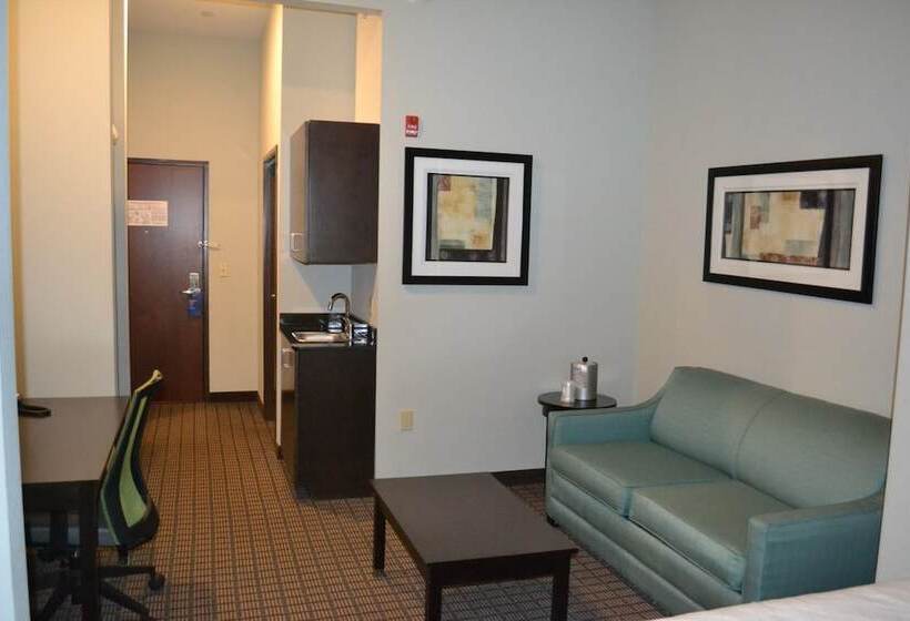 套房, Holiday Inn Express Selinsgrove, An Ihg