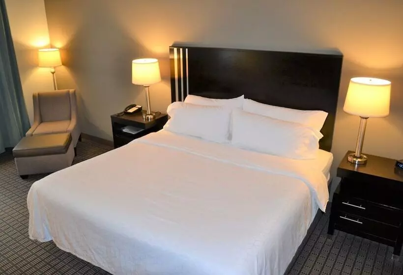 スタンダードルーム, Holiday Inn Express Selinsgrove, An Ihg