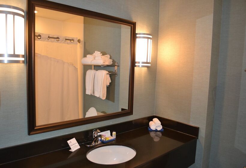 适合残疾人士使用的套间, Holiday Inn Express Selinsgrove, An Ihg