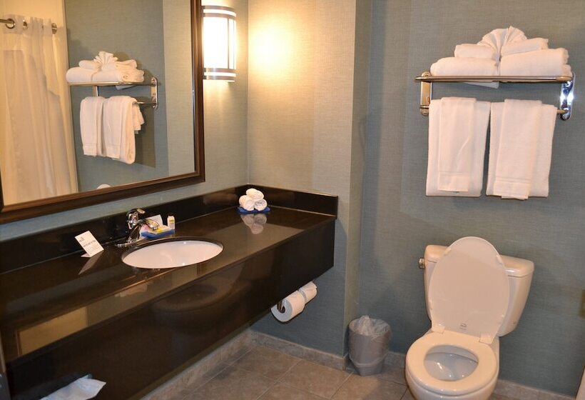 身障者適用スイートルーム, Holiday Inn Express Selinsgrove, An Ihg
