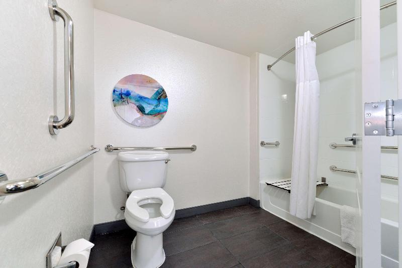 适合残疾人使用的标准间, Holiday Inn Express Selinsgrove, An Ihg