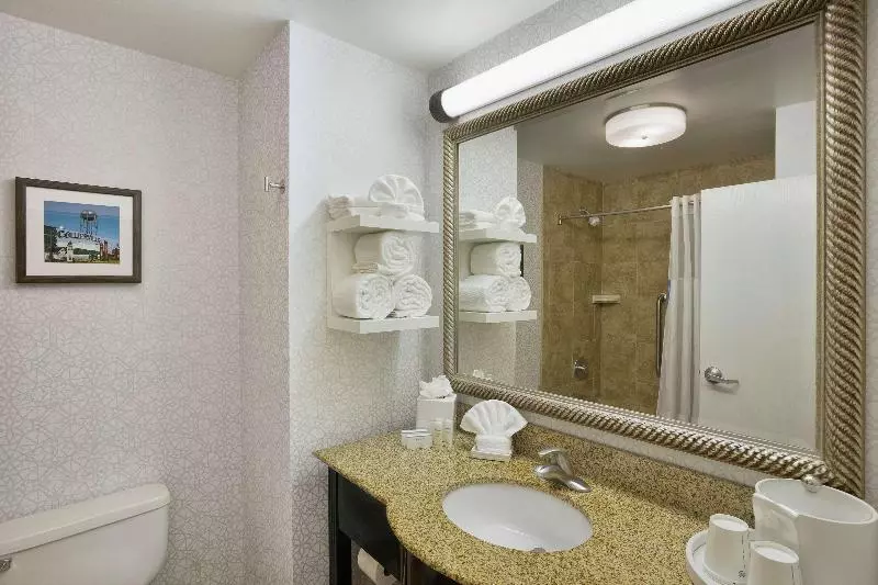キングサイズベッドのスタンダードルーム, Holiday Inn Express Selinsgrove, An Ihg