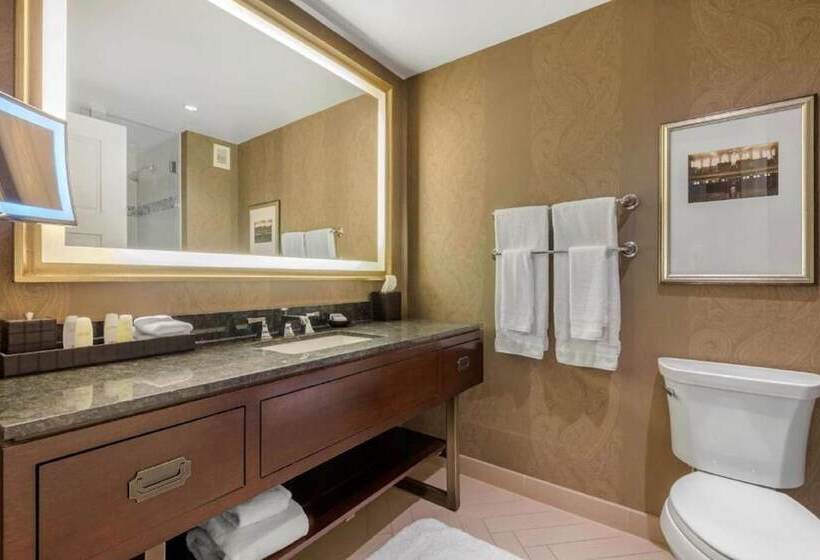 سوئیت برای معلولان, Omni Nashville