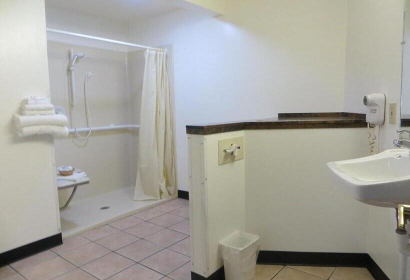 身障者適用キングサイズベッドルーム, Cadillac Inn