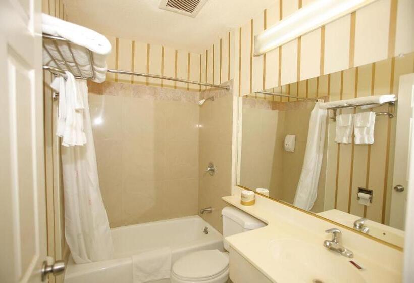 스탠다드 룸, Hollywood Guest Inn