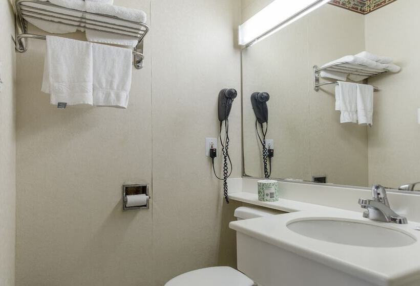 غرفة قياسية, Hollywood Guest Inn