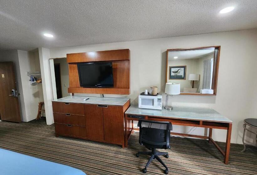 带大床的标准间, Windsor Place Inn