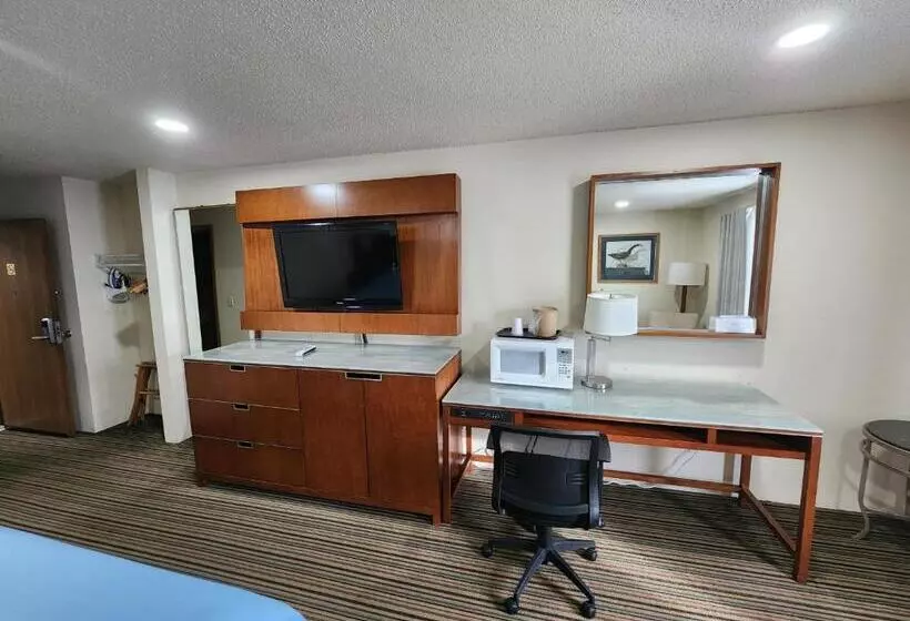 キングサイズベッドのスタンダードルーム, Windsor Place Inn
