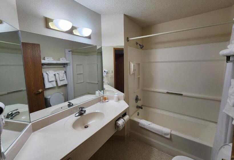 带大床的标准间, Windsor Place Inn