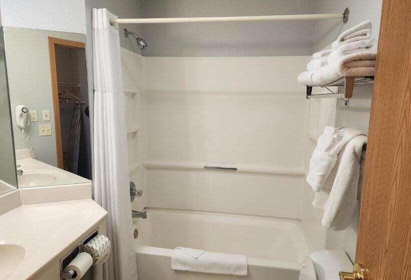 带大床的标准工作室, Windsor Place Inn