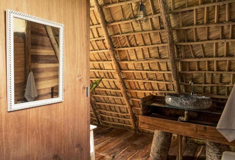 اتاق لوکس, La Colmena Rd