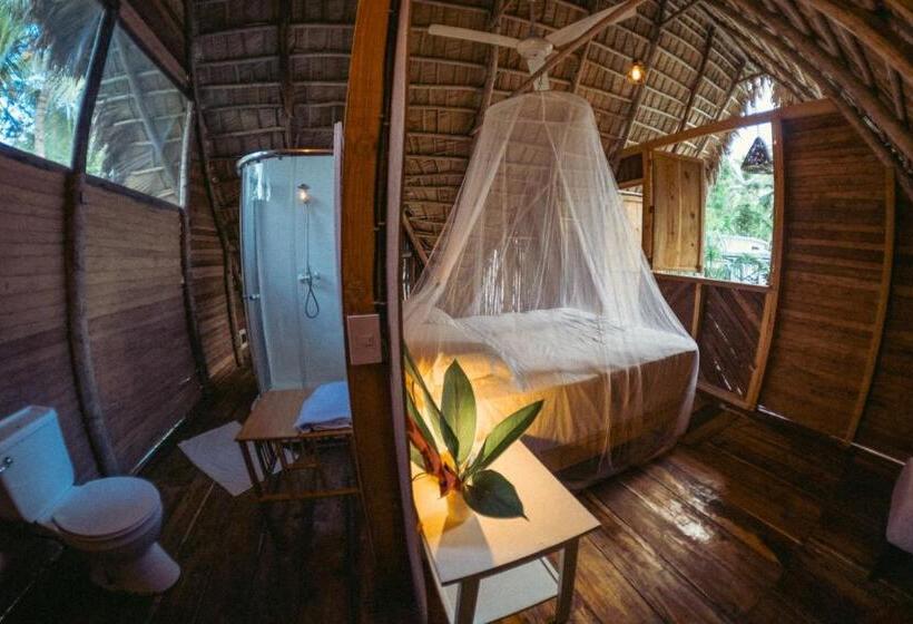 اتاق لوکس, La Colmena Rd