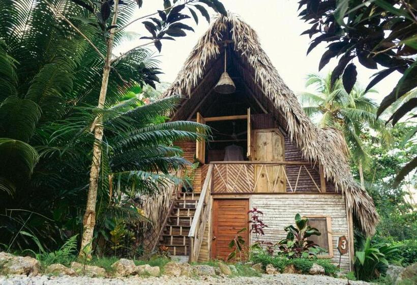 اتاق لوکس, La Colmena Rd