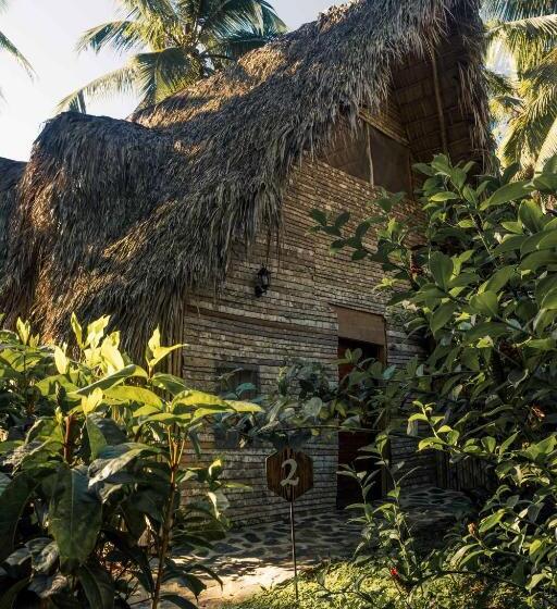 اتاق استاندارد, La Colmena Rd