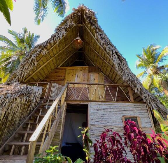 اتاق استاندارد, La Colmena Rd