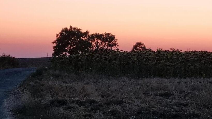 Номер Стандарт Вид на Сад, Les Glycines De Monchy  Chambres D Hôtes