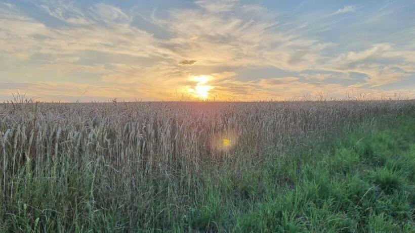 Номер Deluxe, Les Glycines De Monchy  Chambres D Hôtes