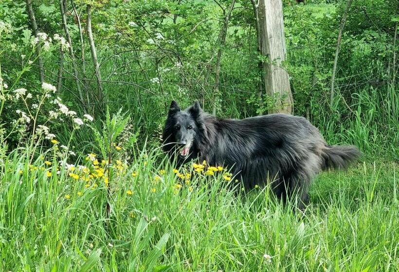 Шале 1 Спальня, Les Glycines De Monchy  Chambres D Hôtes