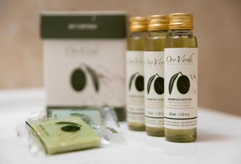 آپارتمان سوپریور 1 خوابه, Aparthotel Anghel