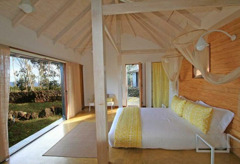 スーペリアールーム, Altiplanico Rapa Nui