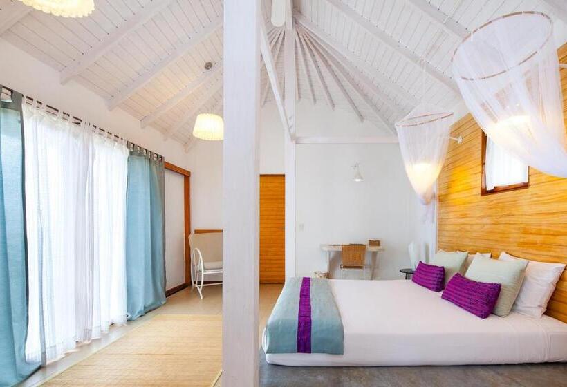 スーペリアールーム, Altiplanico Rapa Nui