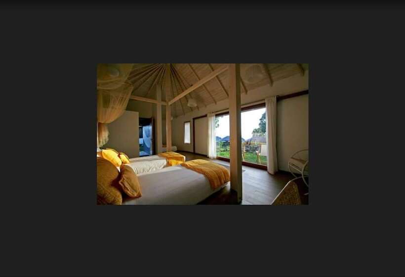 スタンダードトリプルルーム, Altiplanico Rapa Nui