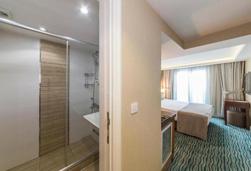 اتاق اکونومی, Aston Hotel Taksim