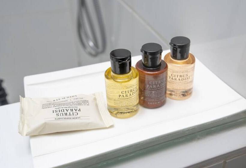 수피리어 룸, Du Parc