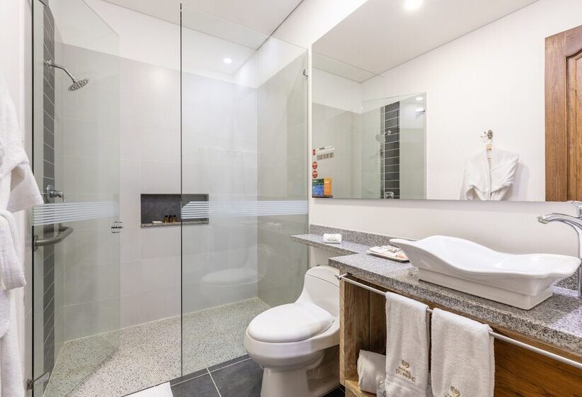 수피리어 룸, Du Parc