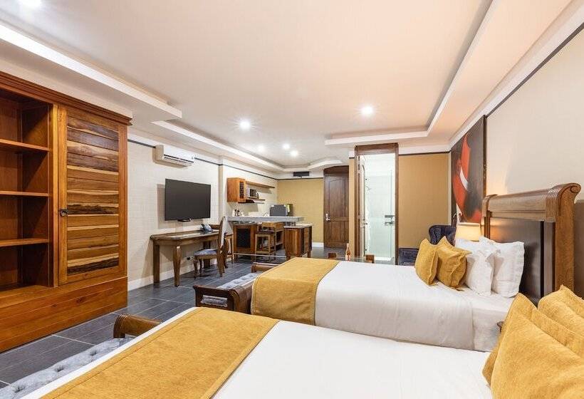 수피리어 룸, Du Parc