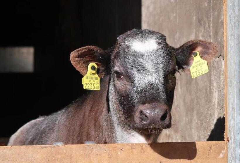 חדר סטנדרט לשלושה, Garni Löwen