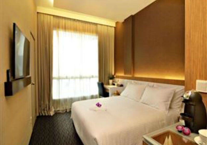 اتاق سوپریور, The Seacare