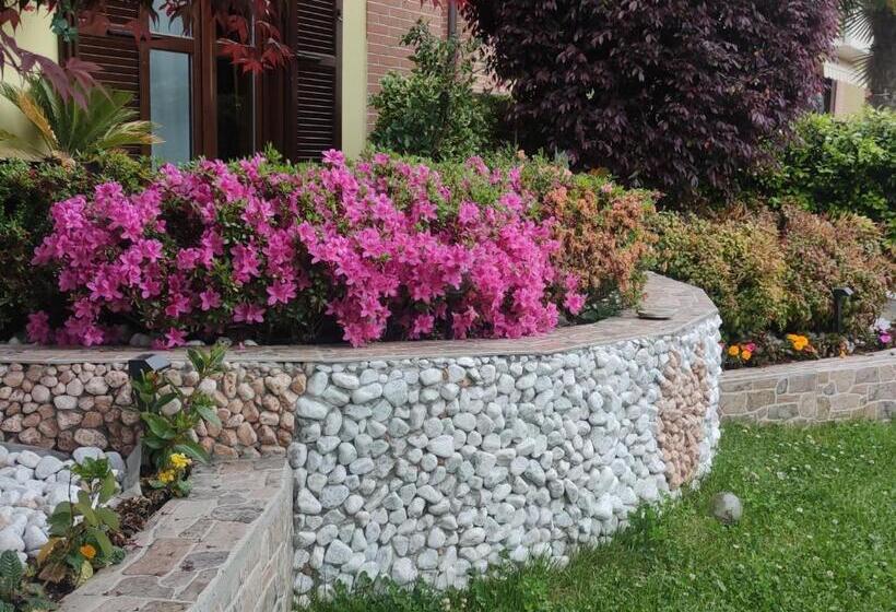 غرفة قياسية, New Home