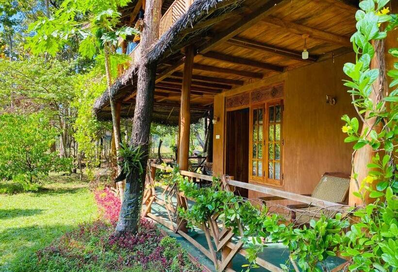 חדר סטנדרט עם טרסה, Sigiri Lion Eco Palace