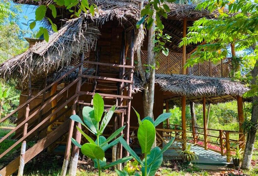 Номер Стандарт с Террасой, Sigiri Lion Eco Palace