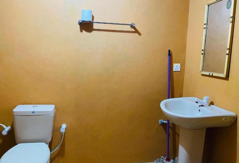 Номер Стандарт с Террасой, Sigiri Lion Eco Palace