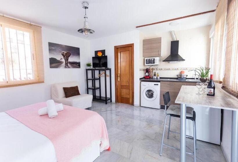 1 Bedroom Penthouse Apartment, Apartamentos Granata