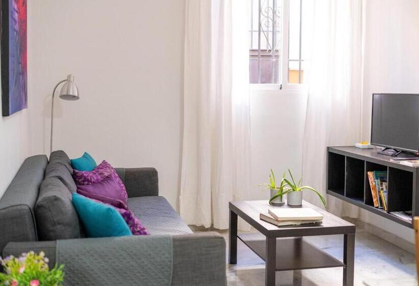 آپارتمان لوکس 1 خوابه, Apartamentos Granata