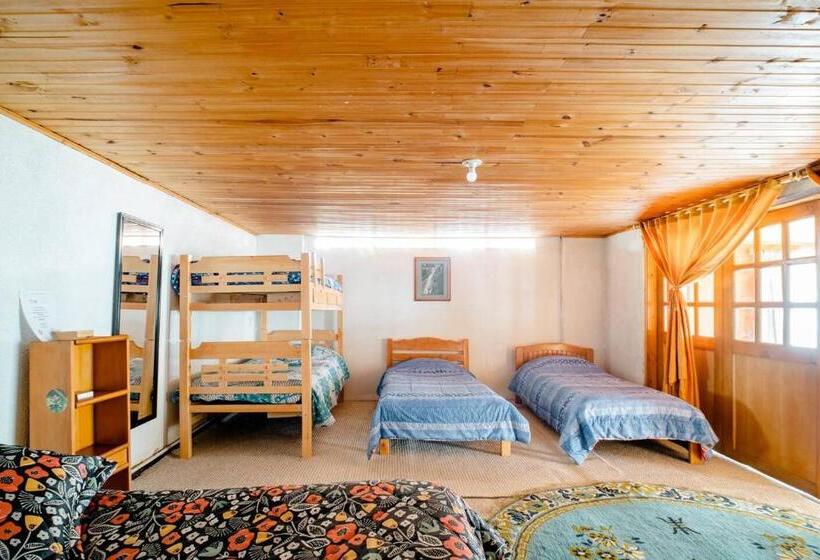 غرفة ديلوكس عائلية, El Peregrino