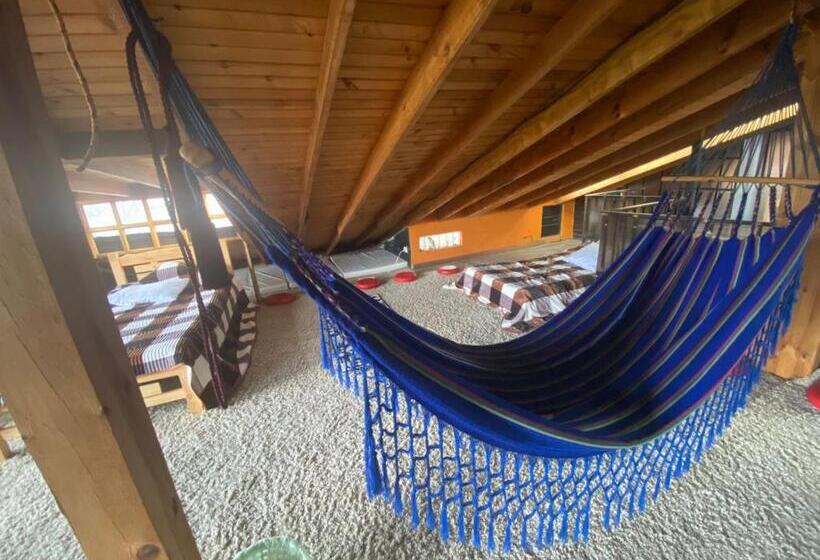 غرفة عائلية, El Peregrino