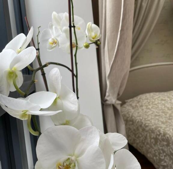 디럭스 4인 룸, Maison D Hôtes L Atelier Du Charmois