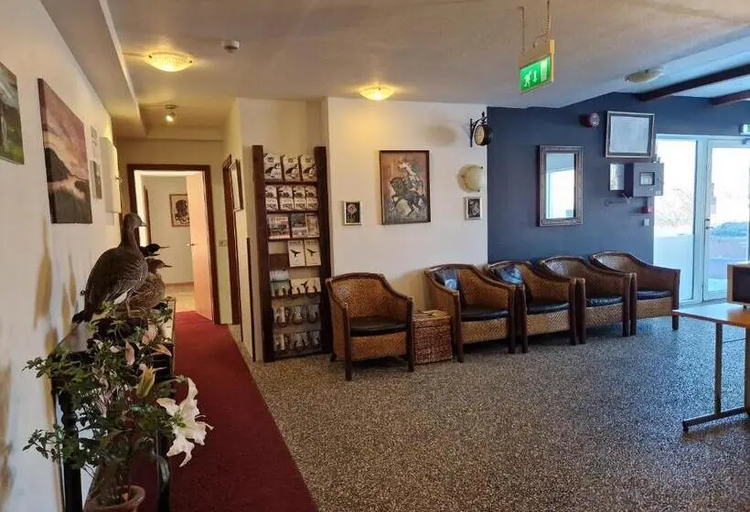 اتاق استاندارد یک نفره, Gauksmýri Guesthouse Lodge