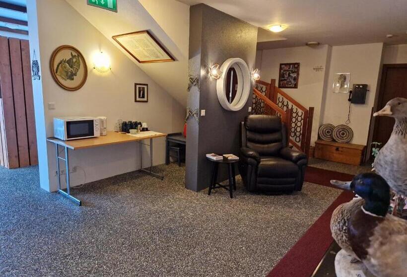 اتاق استاندارد یک نفره, Gauksmýri Guesthouse Lodge