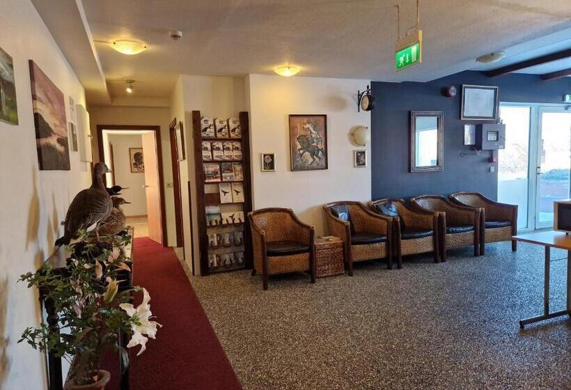 חדר משפחתי, Gauksmýri Guesthouse Lodge