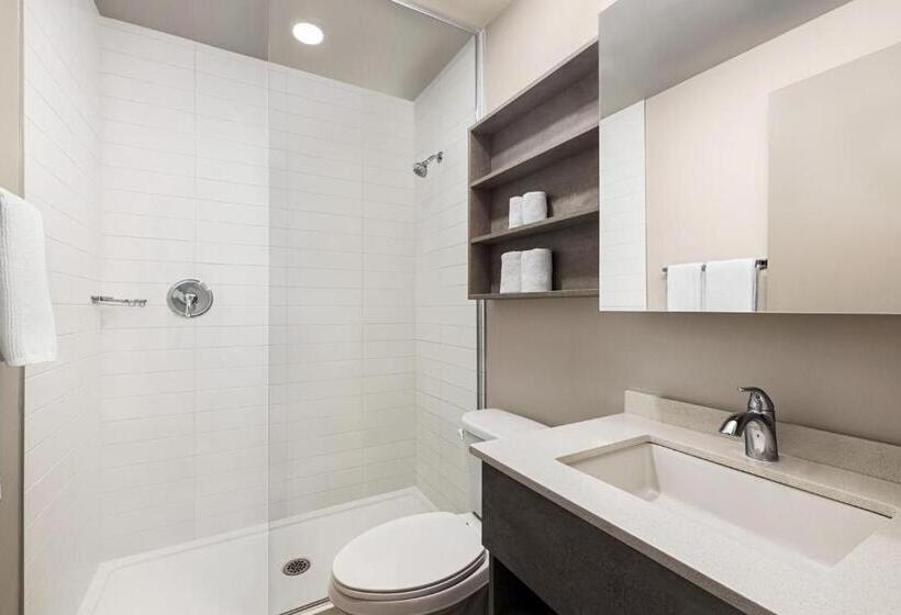 商务房间, Microtel Inn & Suites Dorval Qc