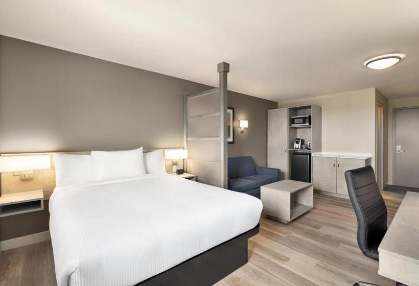 비즈니스룸, Microtel Inn & Suites Dorval Qc