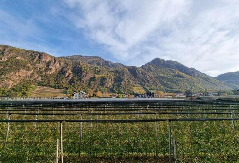 غرفة قياسية, Pitla Cuna Eco Relais