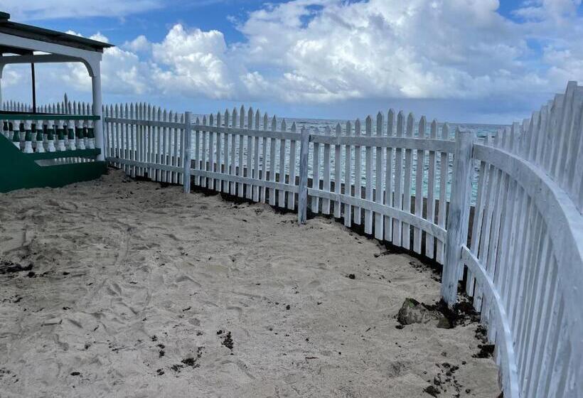 豪华房间, The Wave Hostel Corn Island