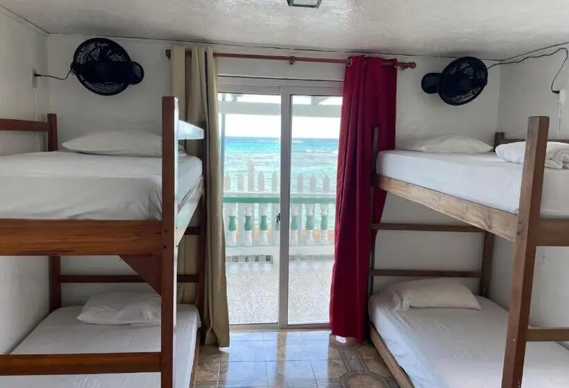 景色の見えるスタンダード４人部屋, The Wave Hostel Corn Island
