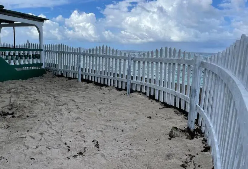 景色の見えるスタンダード４人部屋, The Wave Hostel Corn Island